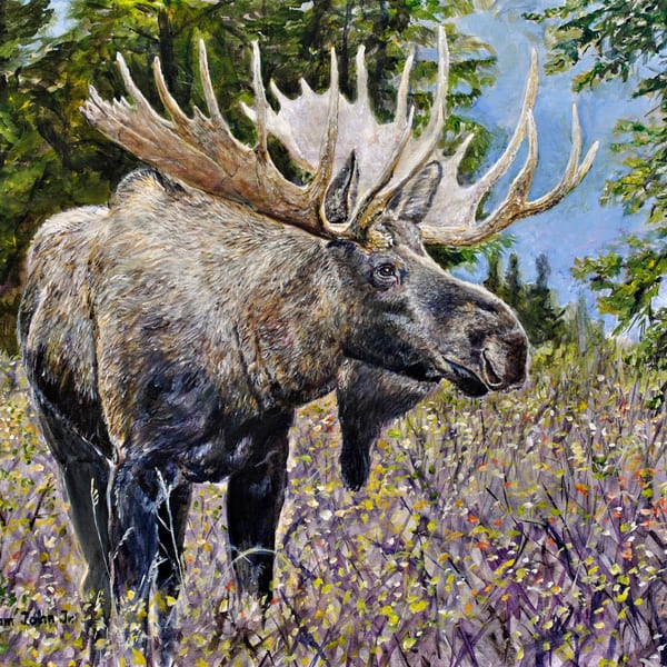 Wildlife Art