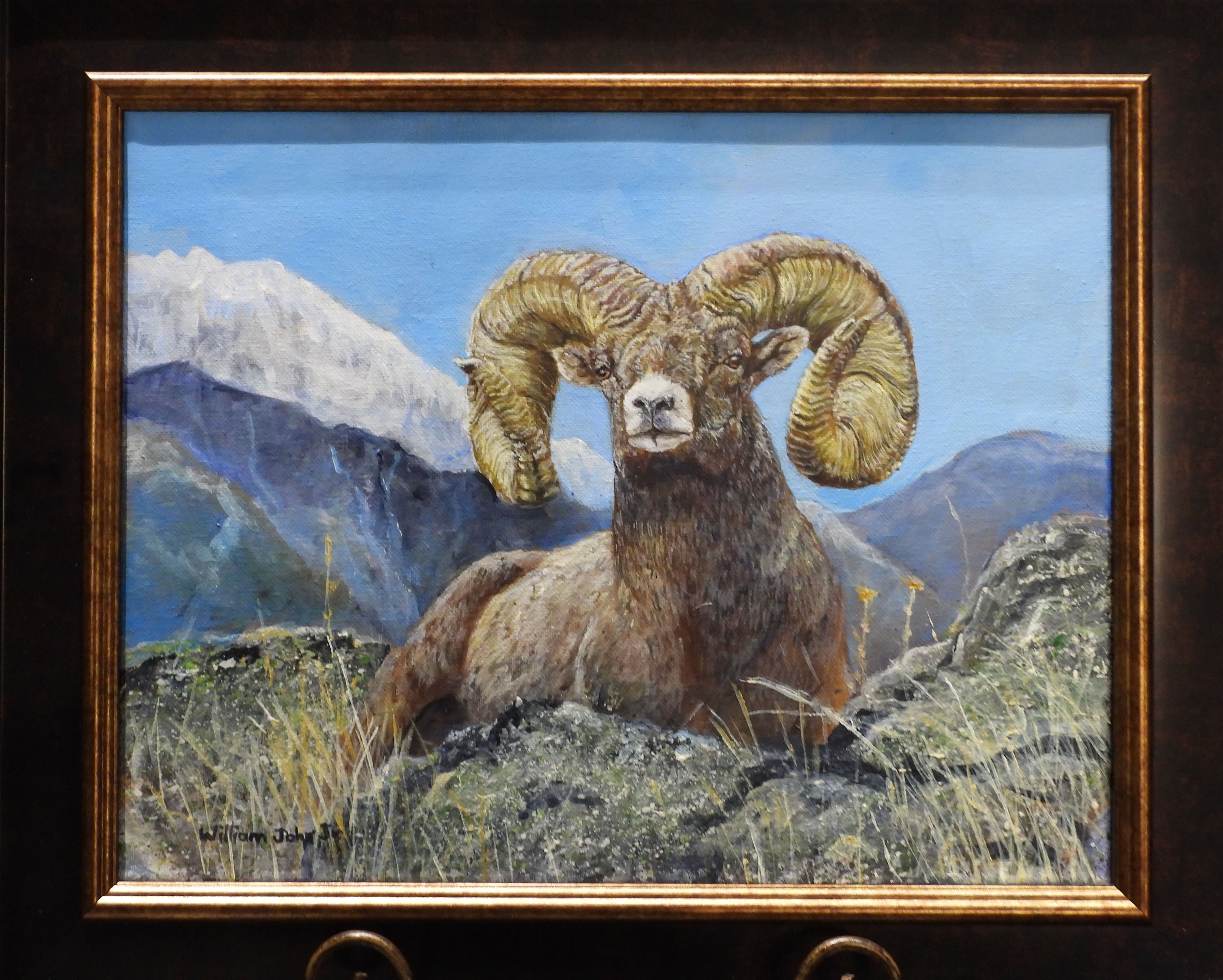 Bighorn ram resting on mountain rocks — painting by William John Jr.