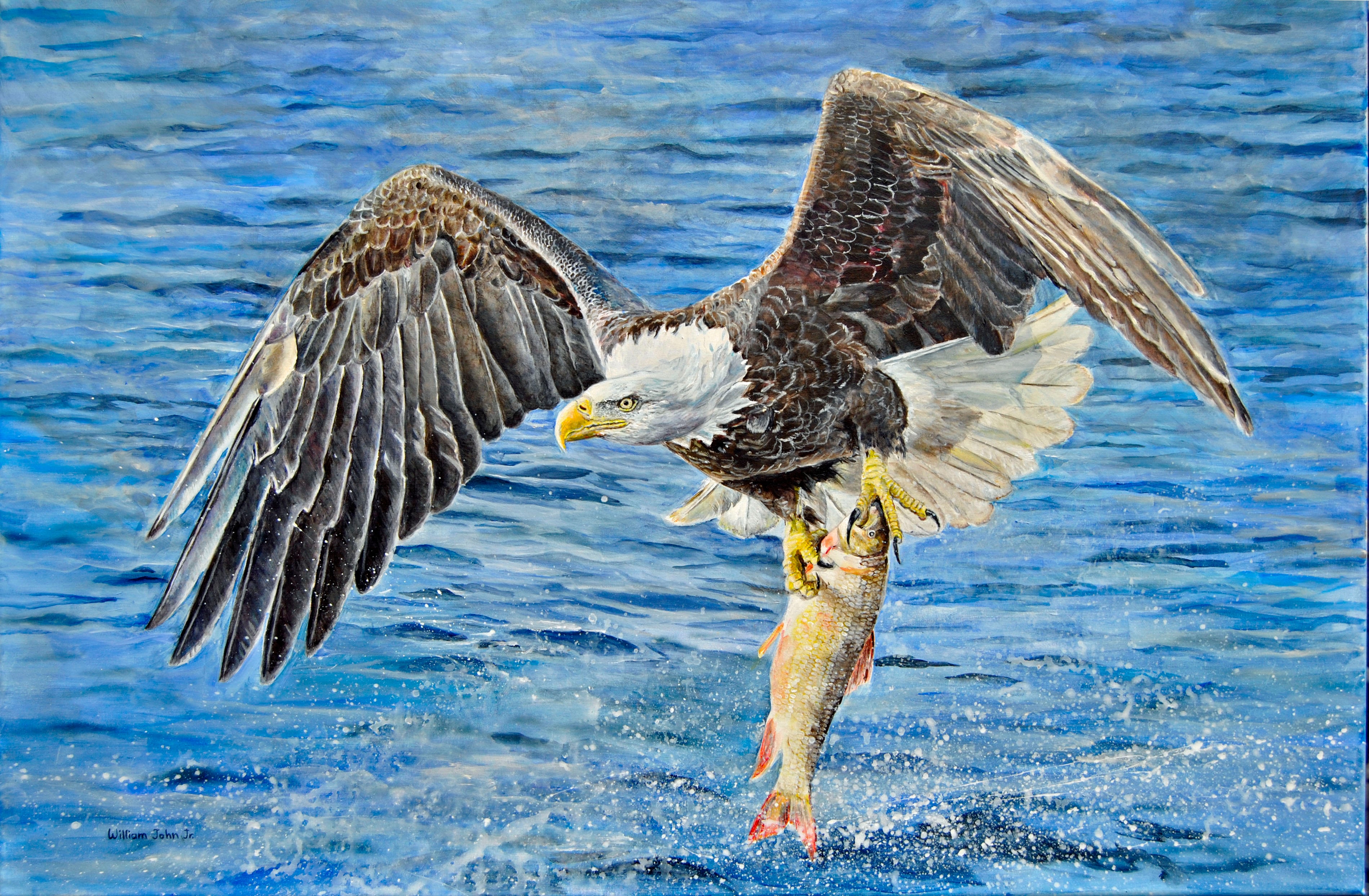 Bald eagle catching fish over open water — painting by William John Jr.